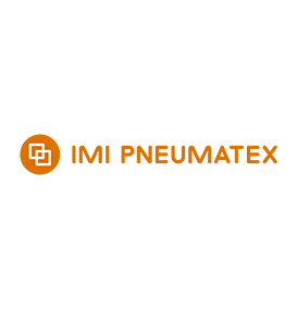 logo pneumatex small